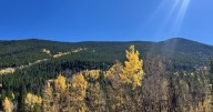 Fall foliage frenzy sparks Guanella Pass crackdown