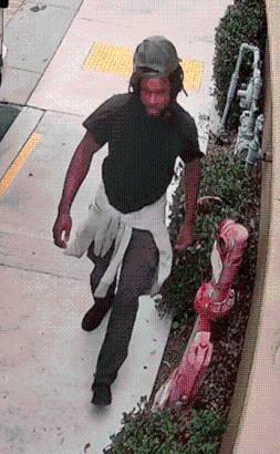 Oceanside 2024 murder suspect still at large, $1K reward offered