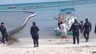 Suspenden a cinco policías en Playa del Carmen, estarían relacionados con la muerte de un pescador