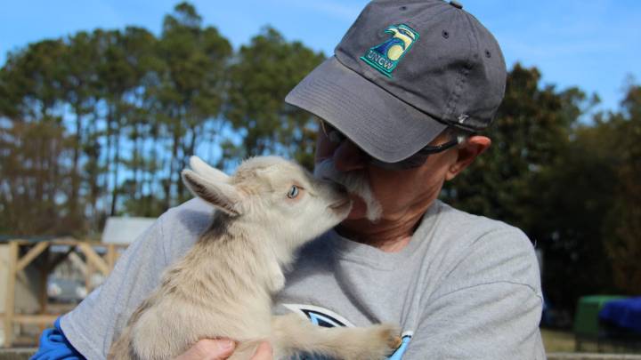 These 48 local farms offer everything from fresh produce…