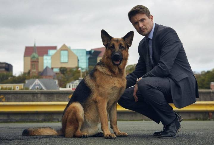 'Hudson & Rex' star John Reardon says show exit wasn't his choice