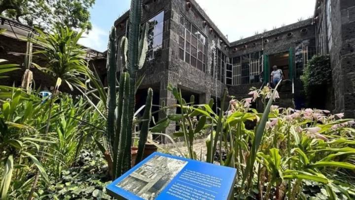 Recorridos nocturnos en el Museo Frida Kahlo: Fechas y detalles