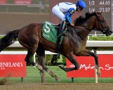 Billionaire Horse Owner Backs Up Paco Lopez Following Jockey Club’s Complaint Over Suspension