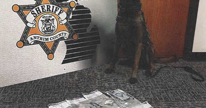 ANTRIM COUNTY: Arrest made after K