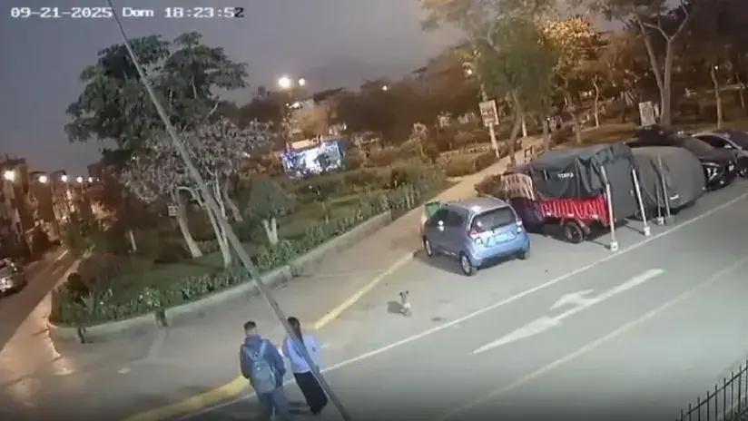 Niña de 11 años es reportada como desaparecida en SJL tras reunirse con un hombre que conoció a través de un videojuego