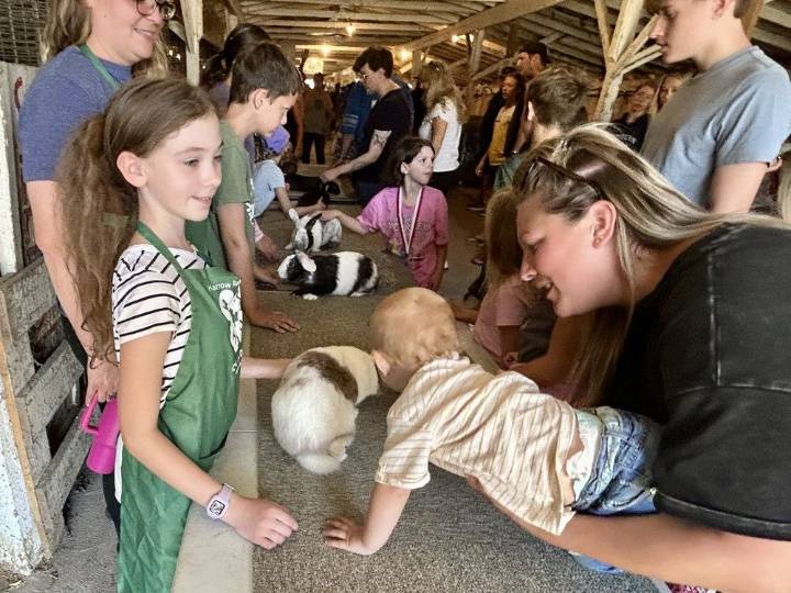 Tens of thousands flock to historic Harrow fair for 171st year