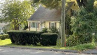 50 cats and dogs seized from Watertown home, owner charged with animal cruelty