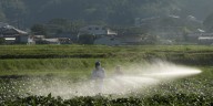 Farmer says 'we're in a very dire situation'—with zero soybean orders from China