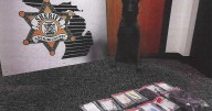 K-9 finds buried drugs