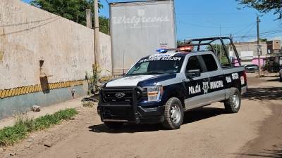 Localizan el miembro viril de un hombre …