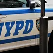 Police say fatal Queens hit and run may have been targeted