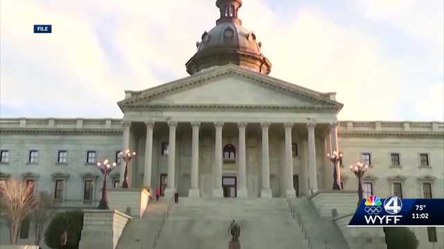A look at South Carolina's proposed abortion law