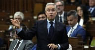 Committee gets nearly 1,000 budget submissions ahead of federal budget