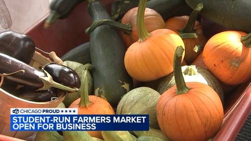 Chicago Heights farmer's market: Barrack Obama School of Leadership and STEM students present horticulture skills