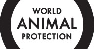 West Hollywood adopts groundbreaking ban on the retail sale of live animals