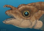 This Gloriously Weird Fish Has Teeth on Its Forehead for Sex