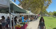 East Bay residents enjoying a day outside find ways to deal with the heat