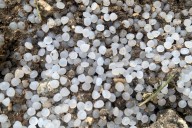 Communities Around the World Find Plastic Pellets in Their Local Waterways
