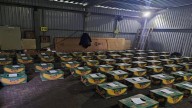 Rusia incauta cocaína en un barco bananero procedente de Ecuador