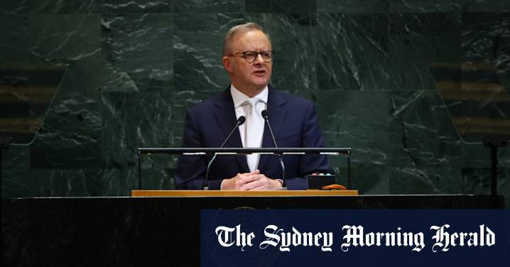 Anthony Albanese UN speech: PM distances himself from Trump's climate denialism