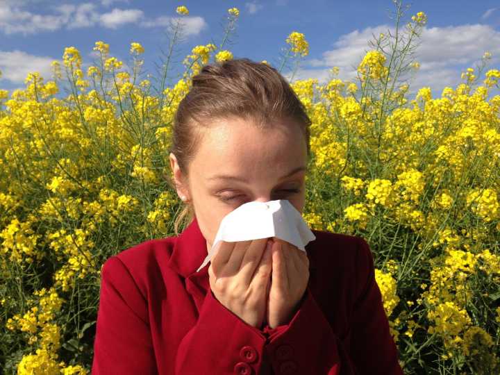 Alergias de primavera: cómo prevenir síntomas y disfrutar la temporada