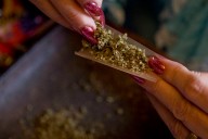 Hawaii visitors show high interest in weed tourism