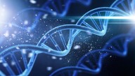 Serial Killer Case Sees Whole Genome Sequencing Evidence Used In New York Courts For First Time