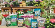 Fall Lawn Fitness: Preparing for Spring's Green Comeback