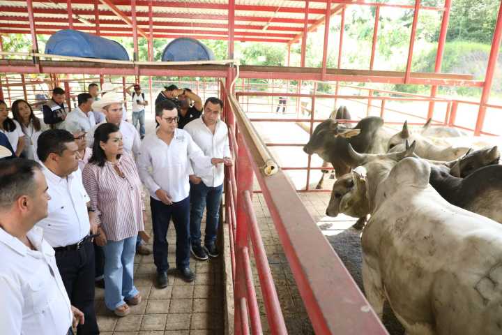 Javier May visita Fricetab y conoce el proyecto de sanidad ganadera
