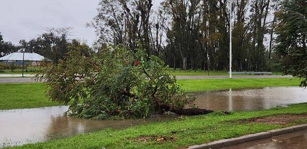 Panorama meteorológico oficial General Villegas: el viento alcanzó por momentos los 100 kilómetros por hora