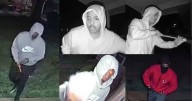 Despite tragedy, home burglary is a crime that’s fading away