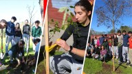 Reforestan el barrio para generar conciencia y hacer frente al cambio climático