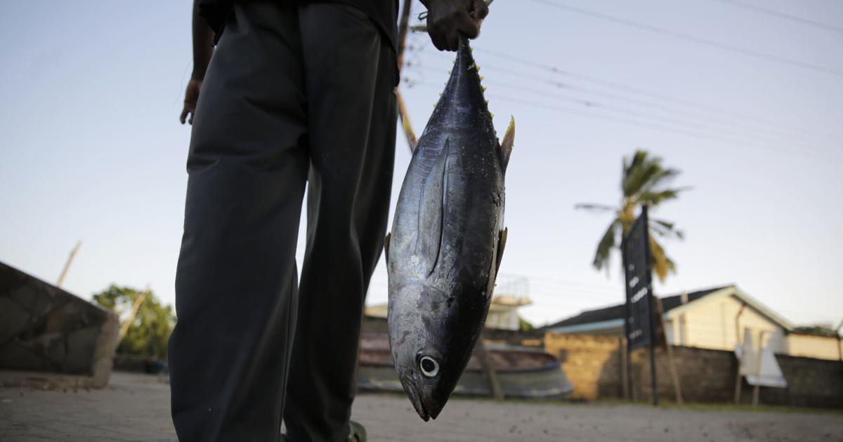 Entra en vigor el acuerdo global de la OMC para reducir la sobrepesca