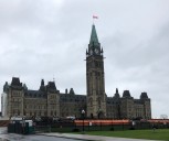 Canadian agriculture hit hard by Chinese tariffs