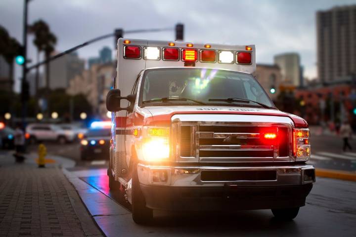 Investigan la muerte de una mujer en aparente ataque de perros en Miami Gardens