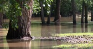 Cleanup underway after flooding leaves Tescott under water