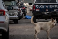 Ejecutan a hombre en la colonia Empleado Postal #Tijuana
