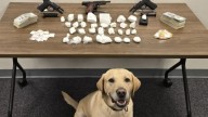 K9 Quinn sniffs out Burien drug trafficking operation
