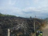 Cinco municipios del Huila no tienen bomberos para atender emergencias