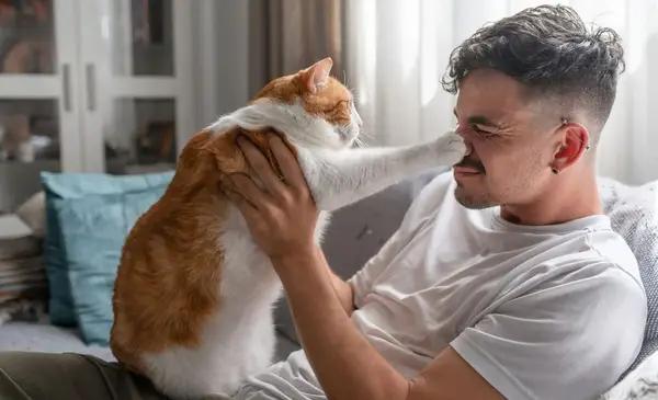 El truco infalible para ganar la confianza de tu gato