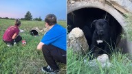 Kansas Rescuers Hear Cries From Storm Drain And Discover A Shocking Surprise