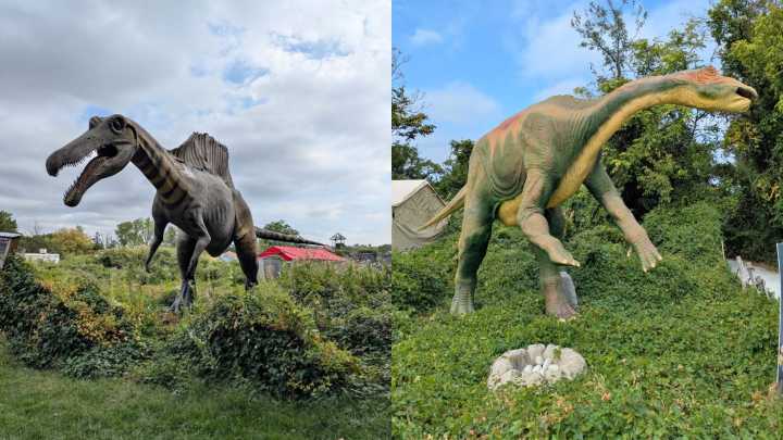 In the Market for Giant Animatronic Dinosaurs? Facebook Has Them.
