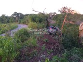 Extranjeros se salen de la vía Dzonot Carretero