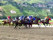 Aumento de premios en La Rinconada