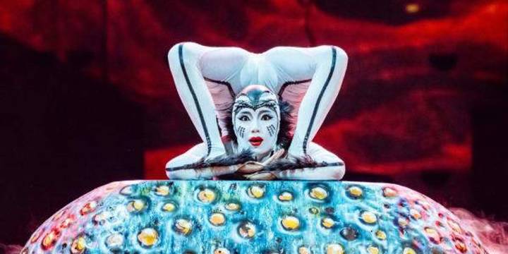 Here are the top 7 things to do in San Antonio this weekend