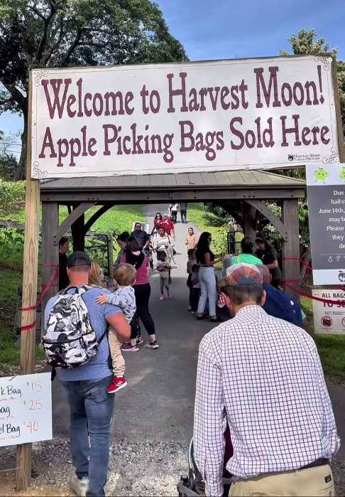 Top apple picking spots to visit around Queens