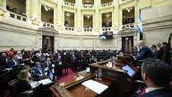 El Senado inició la sesión en la que rechazará el veto a la emergencia en discapacidad
