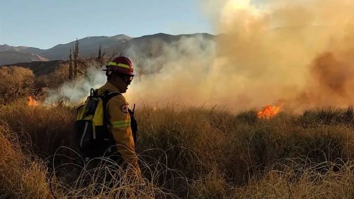 El incendio en Lozano ya afectó a casi 300 hectáreas