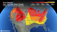 Fall foliage forecast 2025: Where, when to see vibrant colors in New York