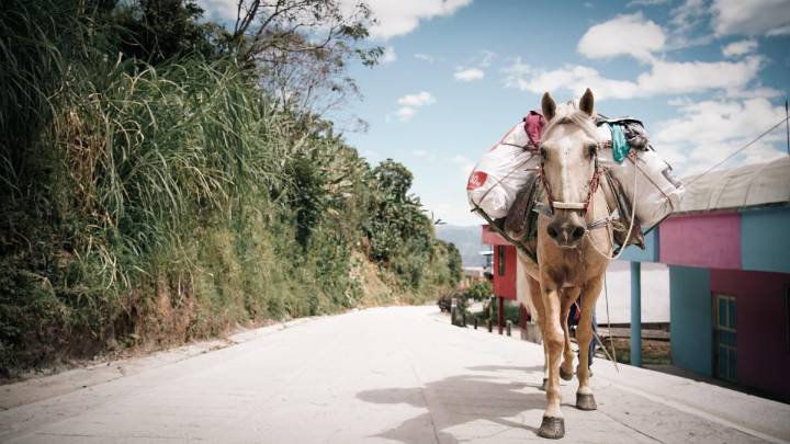 'Caminos Comunitarios para la Paz', la mayor apuesta en infraestructura del gobierno Petro, tiene una ejecución total que no llega al 10 %